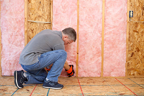 Best Soundproof Insulation  in Carrollton, MO